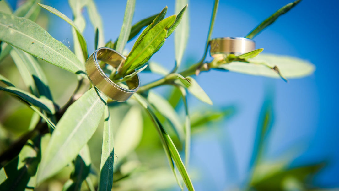 does the wedding band go on top or bottom — two plain gold wedding bands on green olive leaves — FoundryCut