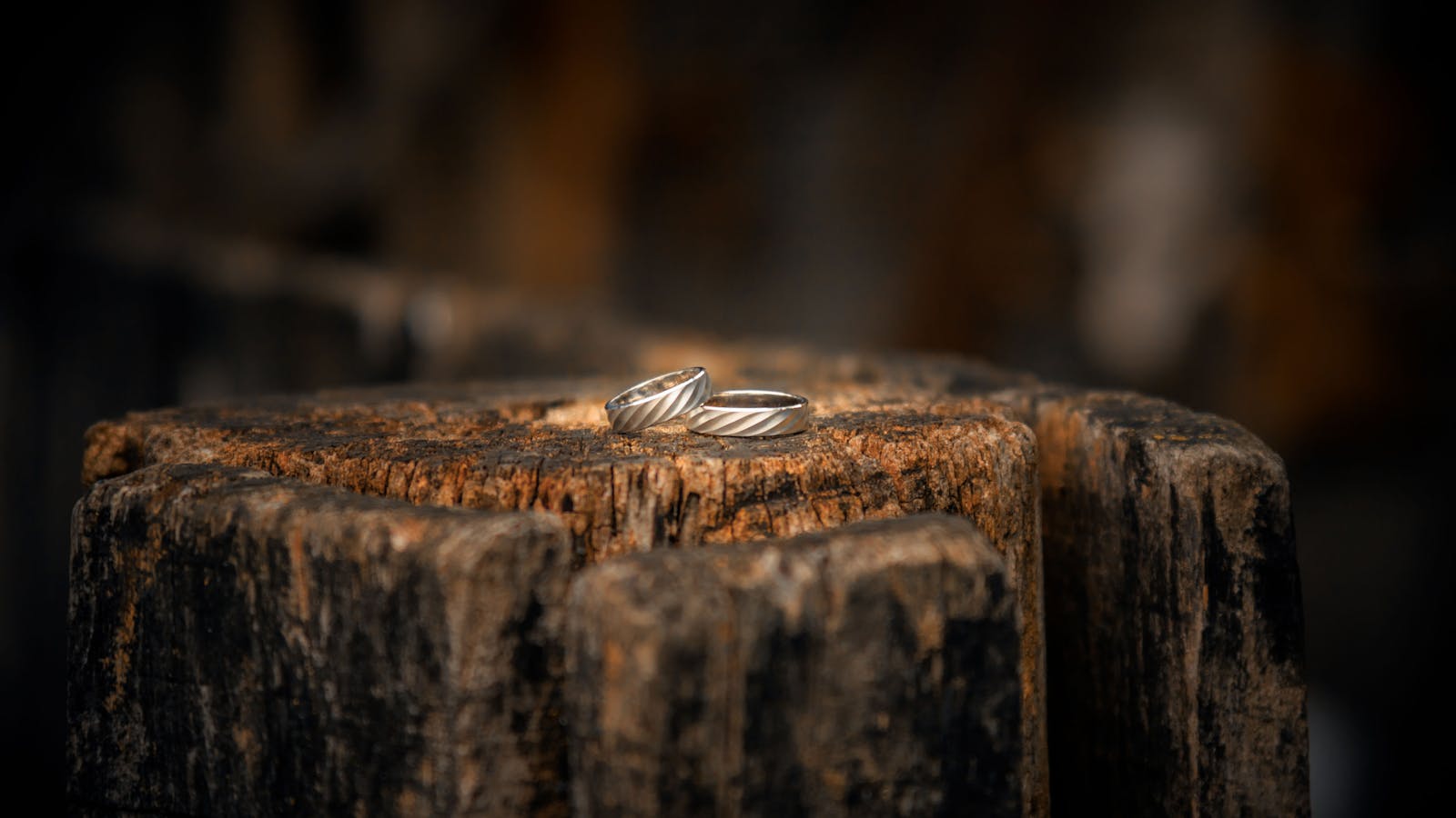can you resize a tungsten ring — two silver bands on wooden stump — FoundryCut