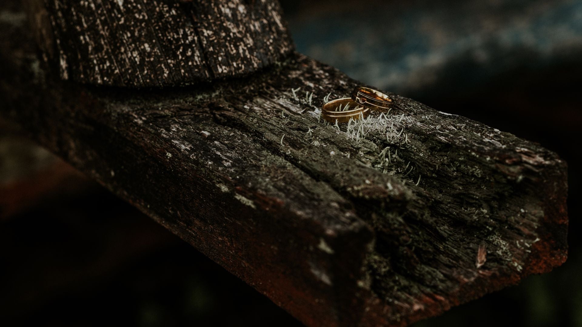 Black Zirconium Rings: How They Compare to Tungsten