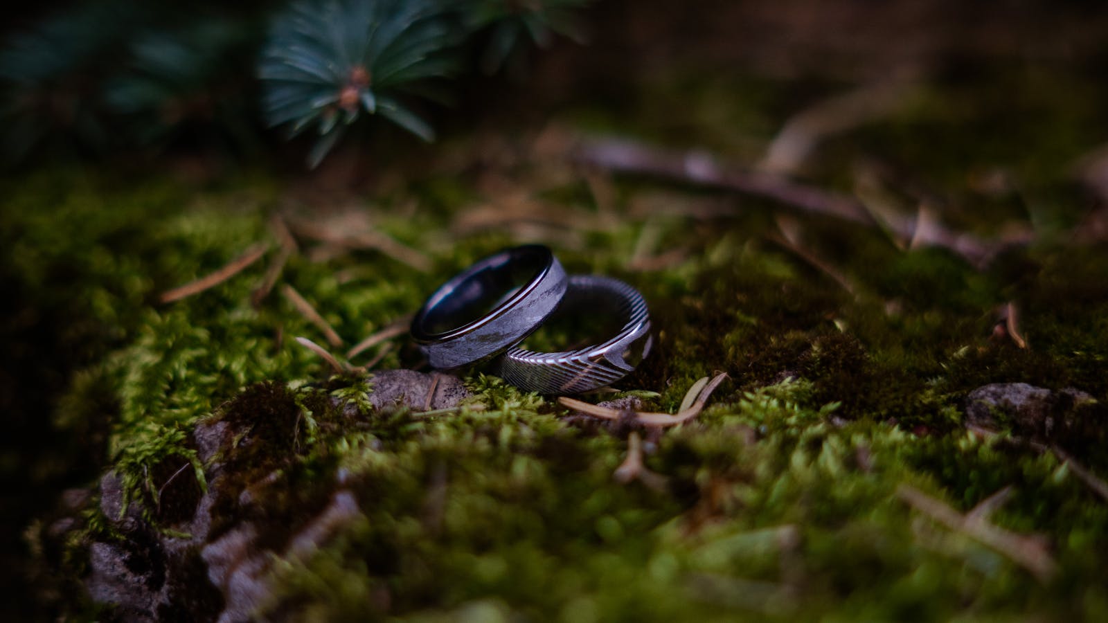 how should a ring fit — two black wedding bands on mossy forest floor — FoundryCut
